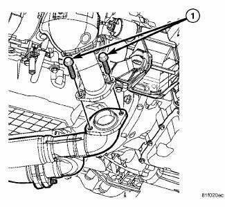 Exhaust System