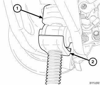 Differential and Driveline