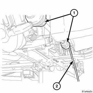 Differential and Driveline